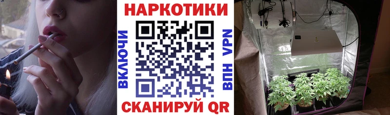 Наркота Дзержинск ГАШ  A PVP  Псилоцибиновые грибы  Мефедрон 
