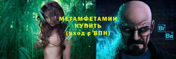 ГАЛЛЮЦИНОГЕННЫЕ ГРИБЫ Вяземский