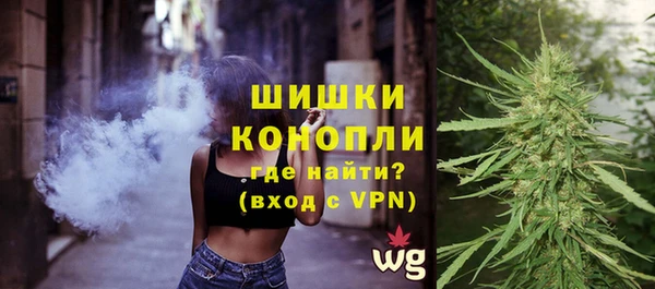 ГАЛЛЮЦИНОГЕННЫЕ ГРИБЫ Вяземский