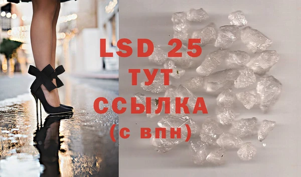 ГАЛЛЮЦИНОГЕННЫЕ ГРИБЫ Вяземский