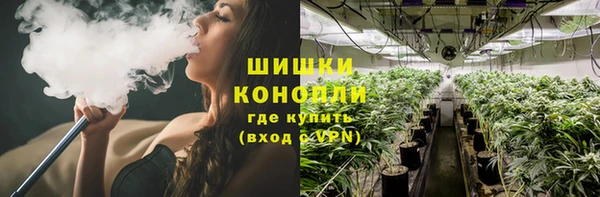 гидра Вязники
