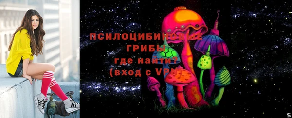 гидра Вязники