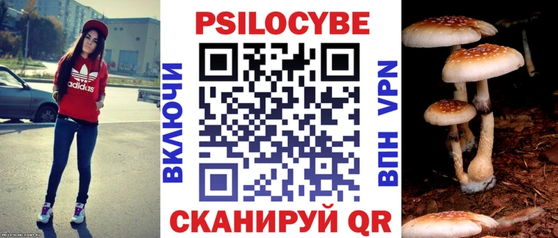 Галлюциногенные грибы ЛСД  продажа наркотиков  Дзержинск 